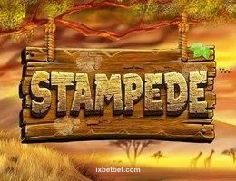 Stampede Game